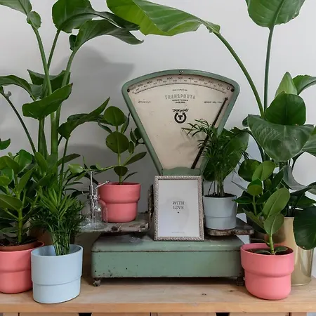 Beethoven * Bratislava