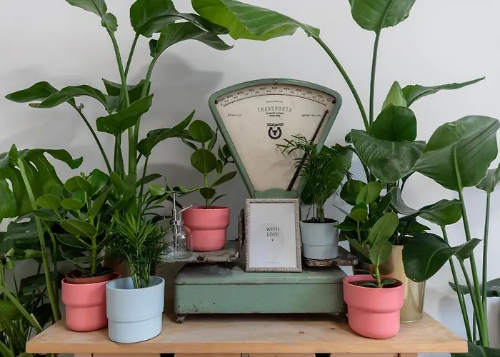 Beethoven * Bratislava